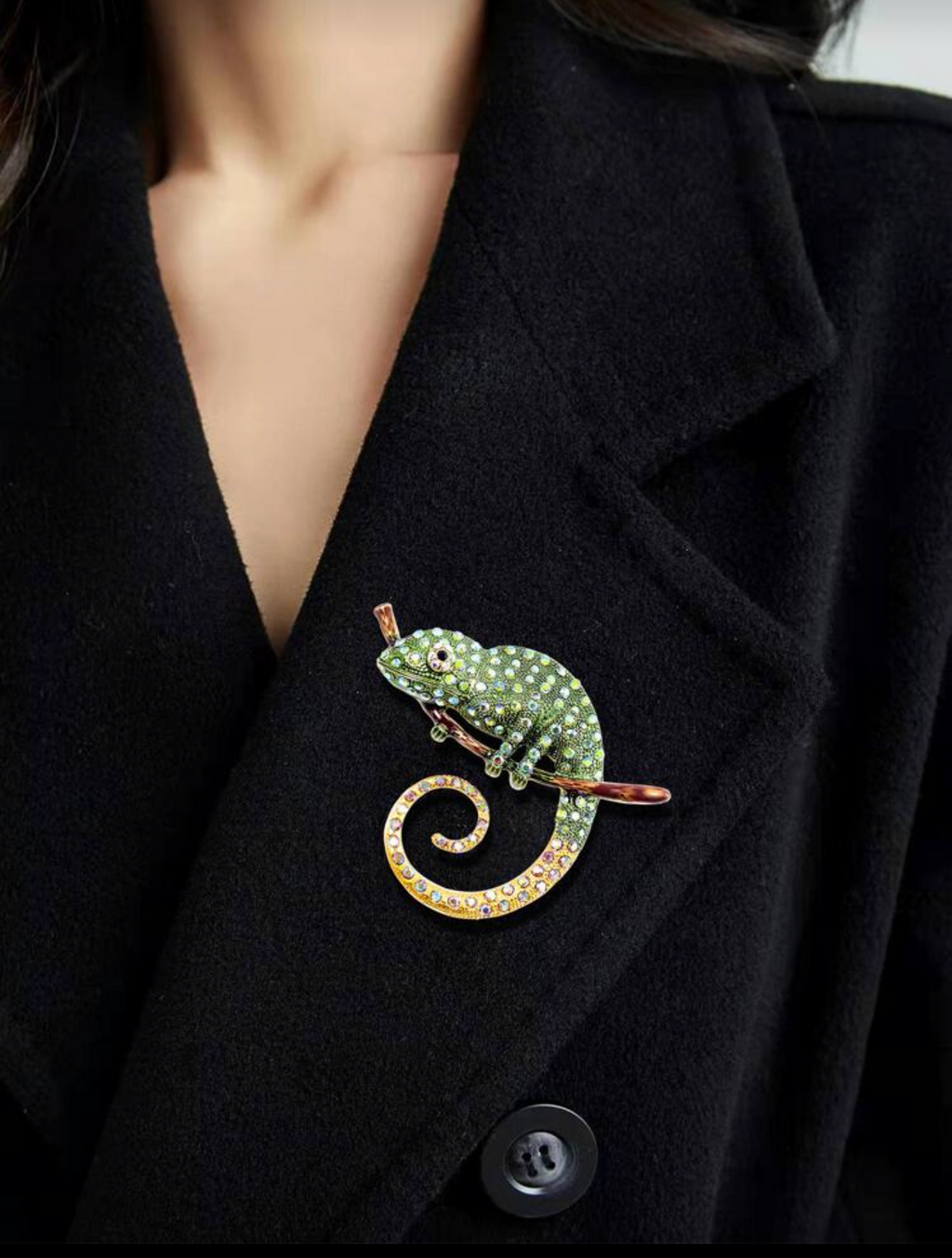 Close-up of a black coat with a decorative brooch resembling a lizard.