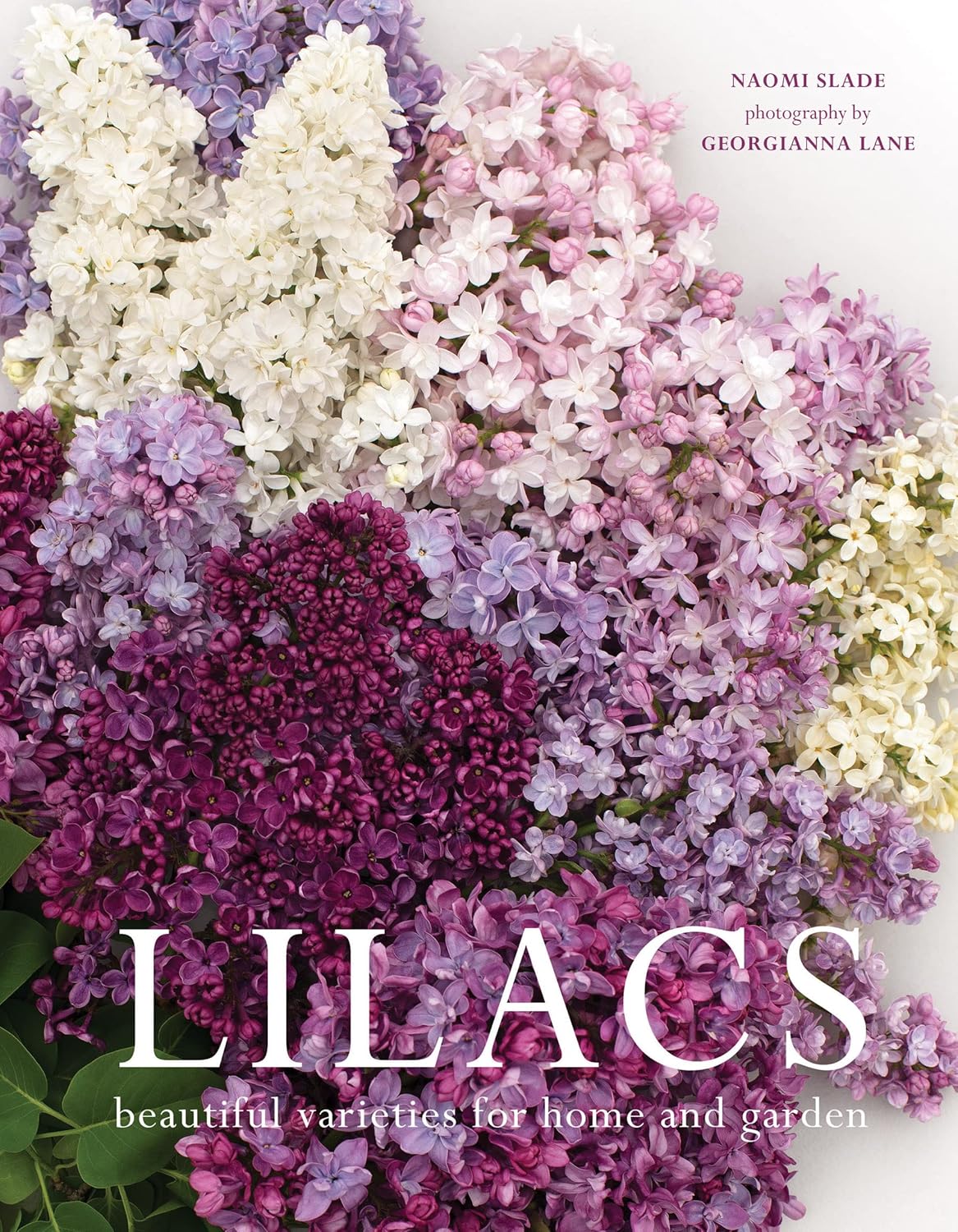 Book | Lilacs