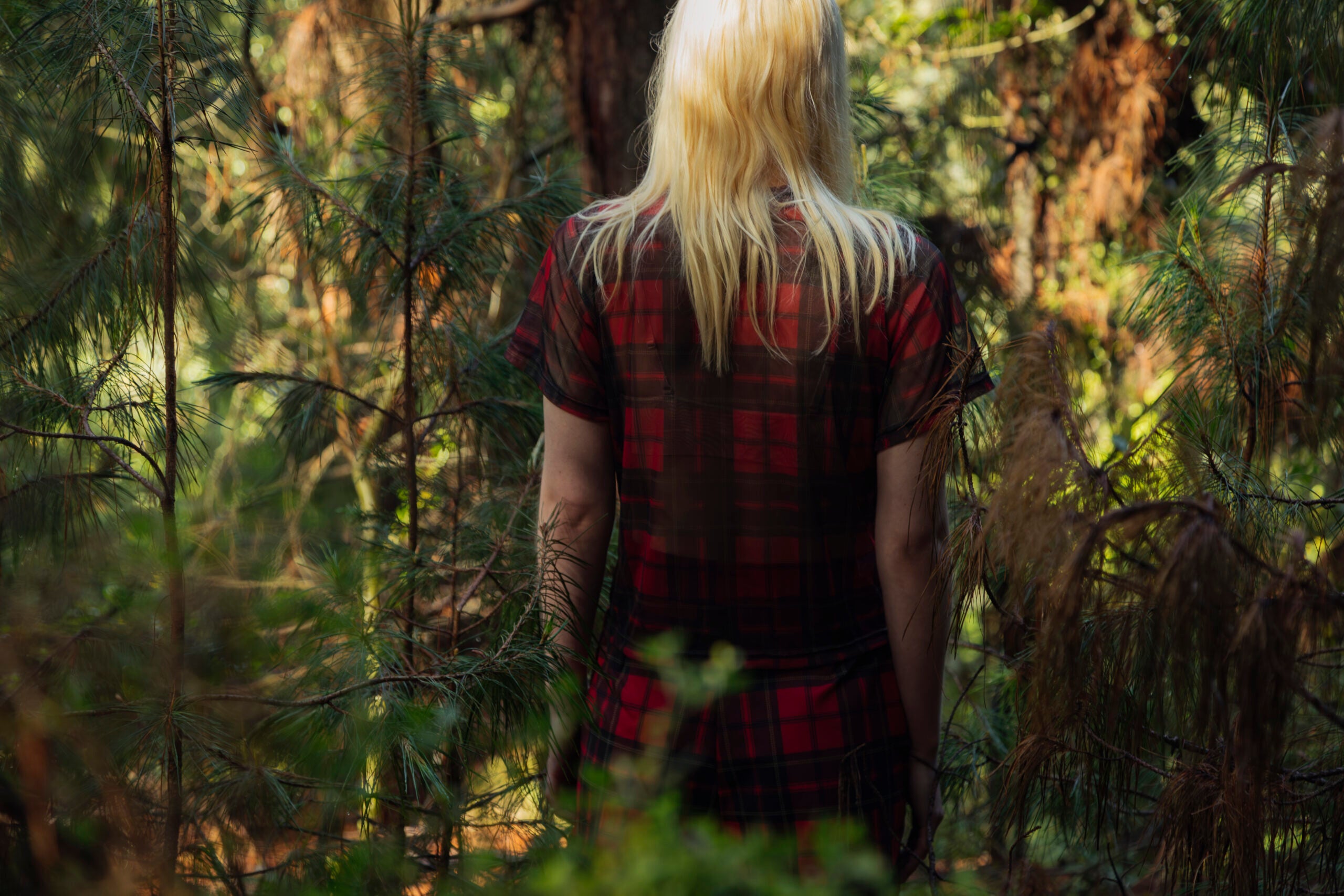 Pinakes Red Top Short Sleeve